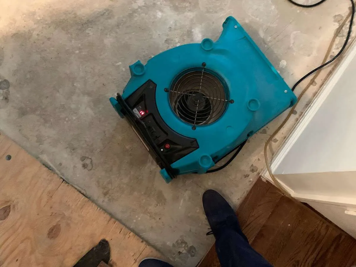 Air mover drying subfloor during Commercial Water Damage Restoration in Farmersville
