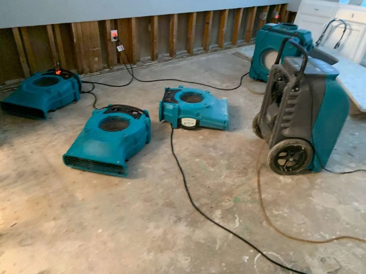 Water Damage Restoration services in Farmersville, CA